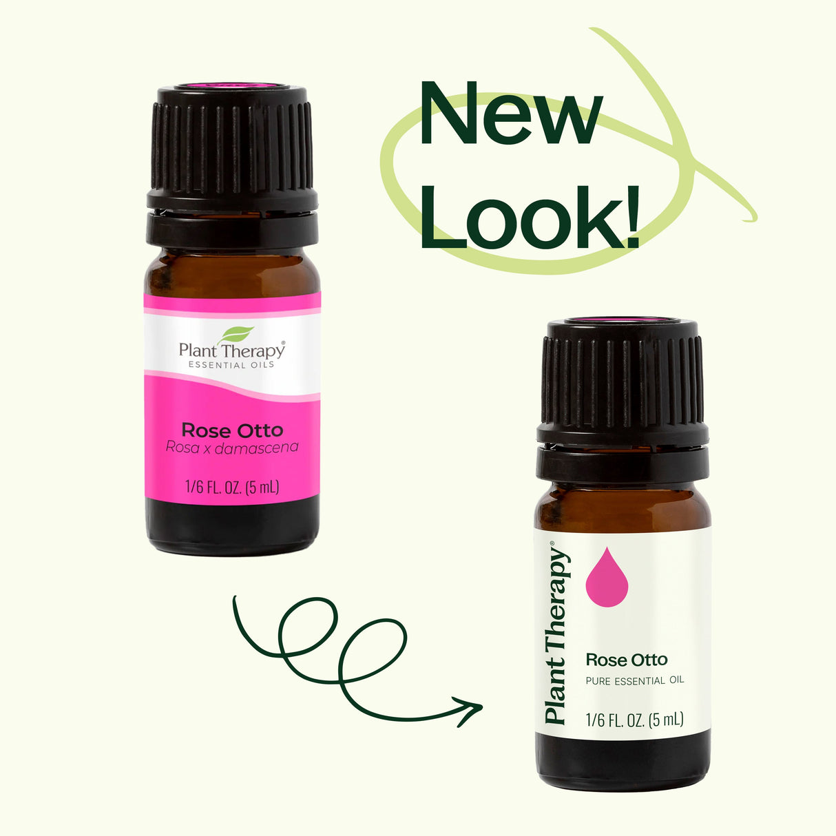 Rose Otto Essential Oil from Plant Therapy