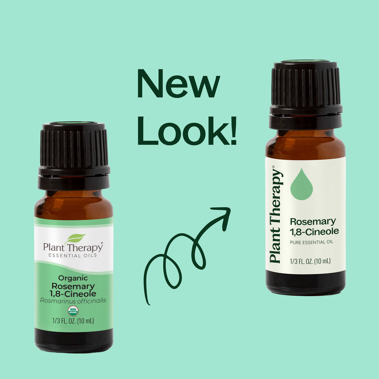 Rosemary 1,8-Cineole Essential Oil from Plant Therapy