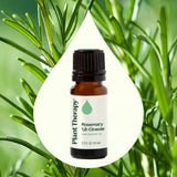 Rosemary 1,8-Cineole Essential Oil from Plant Therapy