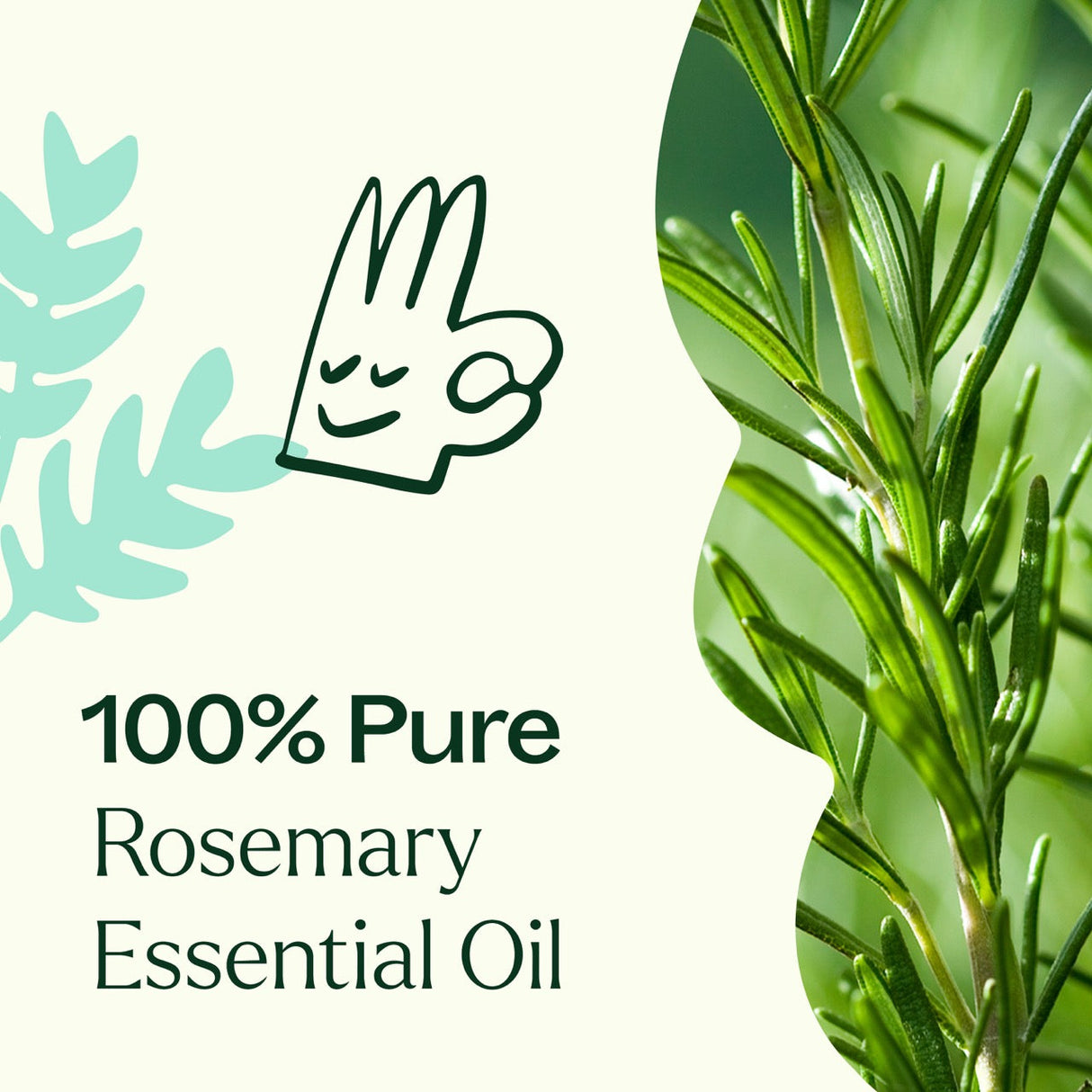Rosemary 1,8-Cineole Essential Oil from Plant Therapy