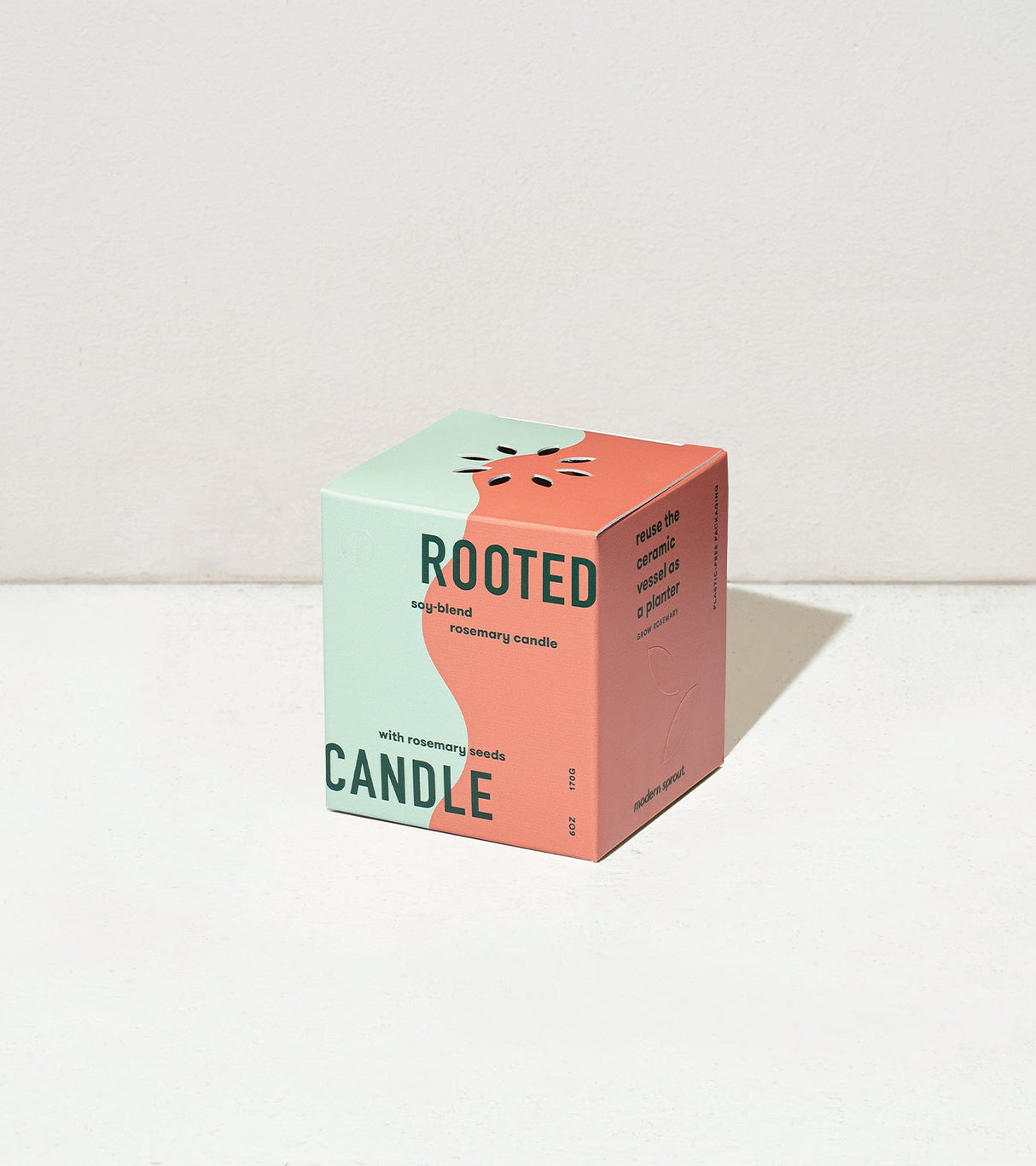 Rooted Candles from Modern Sprout