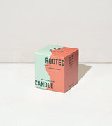 Rooted Candles from Modern Sprout