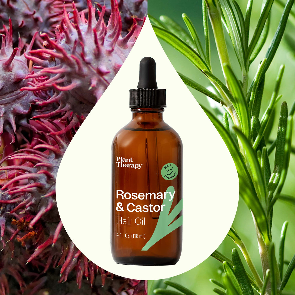 Rosemary & Castor Hair Oil From Plant Therapy