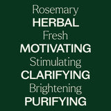 Rosemary Hydrosol from Plant Therapy
