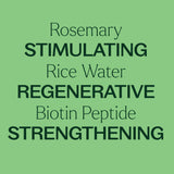Rosemary & Rice Water Daily Hair Growth Spray from Plant Therapy