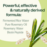 Rosemary & Rice Water Daily Hair Growth Spray from Plant Therapy