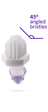 Professional Toothpaste Rotisserie Chicken Small & Professional Pet Toothbrush from petsmile