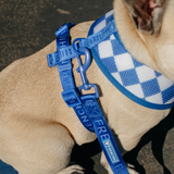 Frenchie Comfort Leash - Royal Blue from Frenchie Bulldog