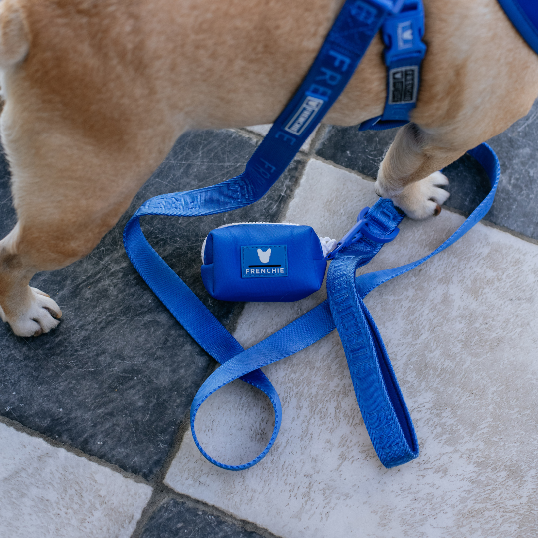 Frenchie Comfort Leash - Royal Blue from Frenchie Bulldog