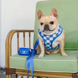 Frenchie Comfort Leash - Royal Blue from Frenchie Bulldog