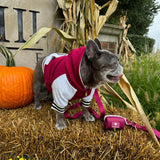 Frenchie Dog Hoodie - Ruby Varsity from Frenchie Bulldog