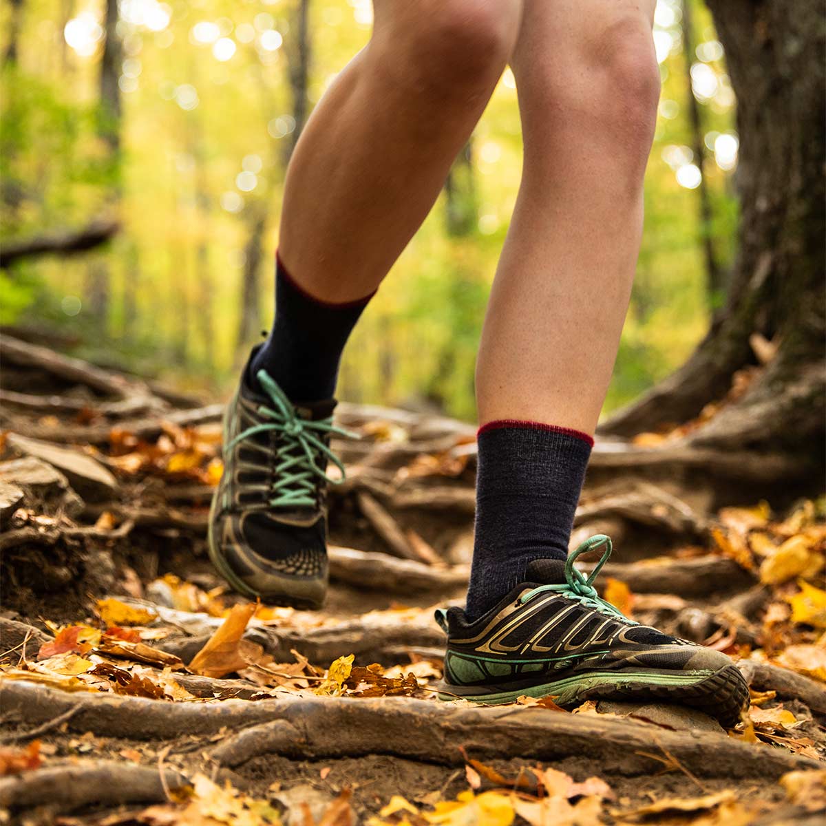 Microweight Cushion - Crew Wool Socks Mountain Heritage from Minus33 Merino Wool Clothing