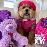 Bella the Bear from Health Extension