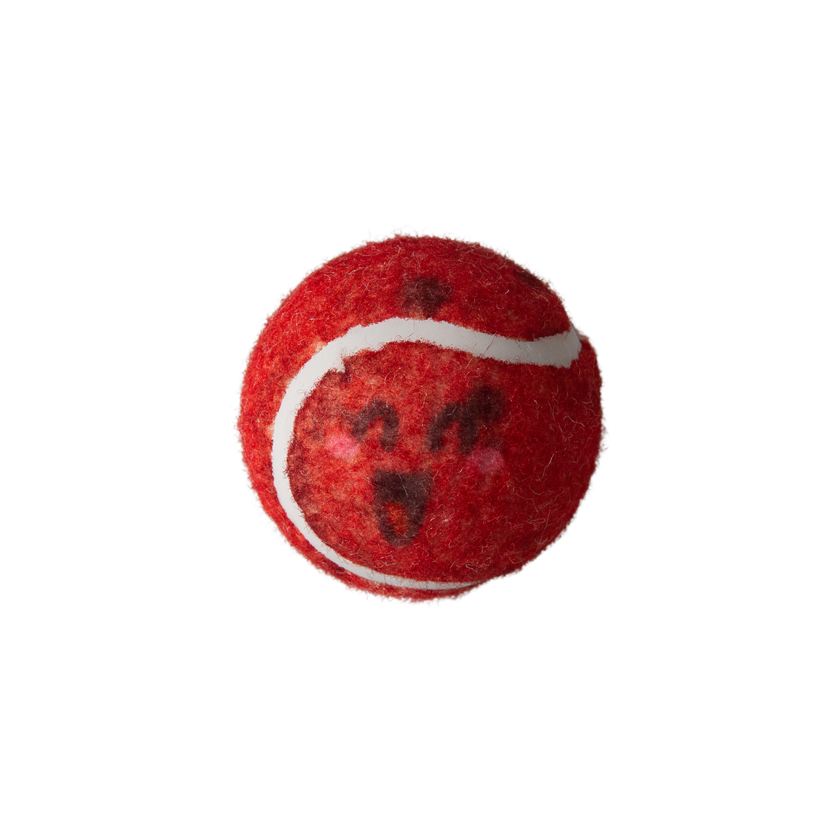 Behind Mars 2pk Tennis Squeaky Balls from Health Extension