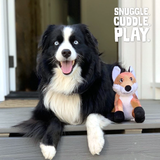 Fitz the Fox from Health Extension