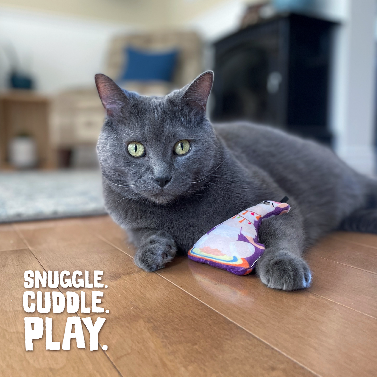 Kitty LLamaste with Catnip from Health Extension
