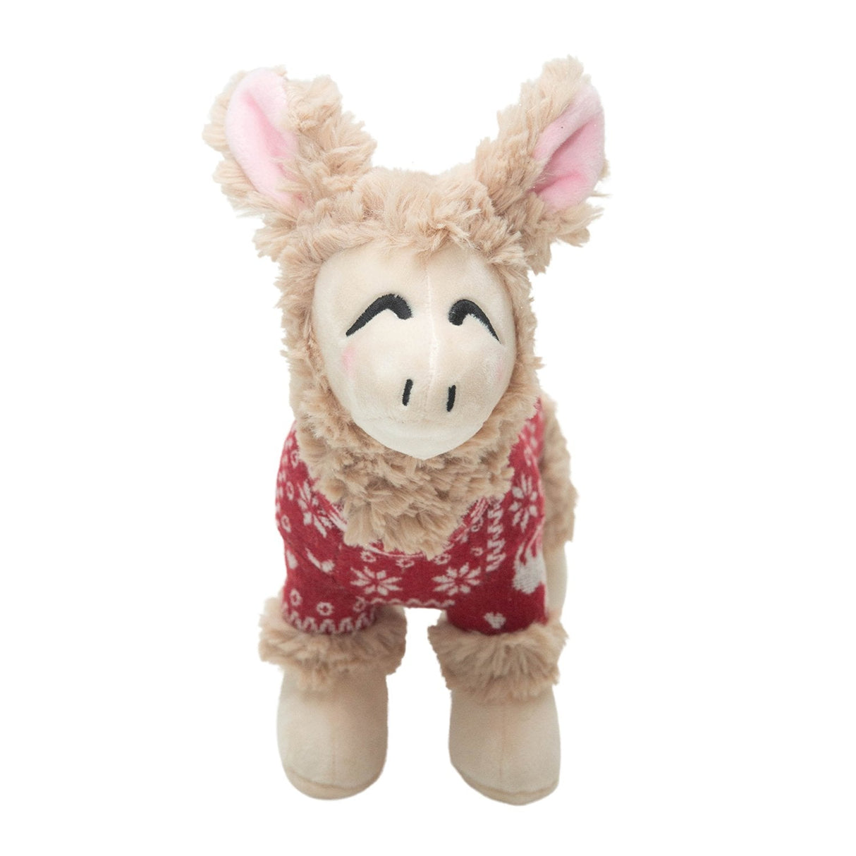 Lady the Llama from Health Extension