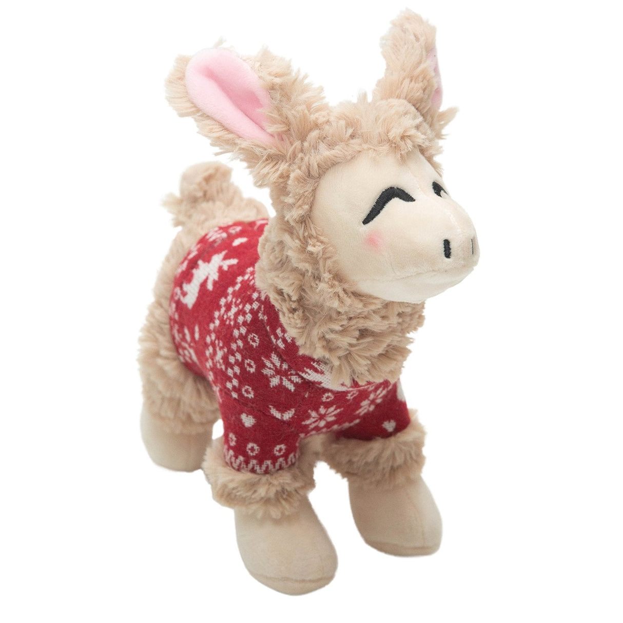Lady the Llama from Health Extension