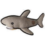 Saul the Shark from Health Extension