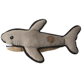 Saul the Shark from Health Extension