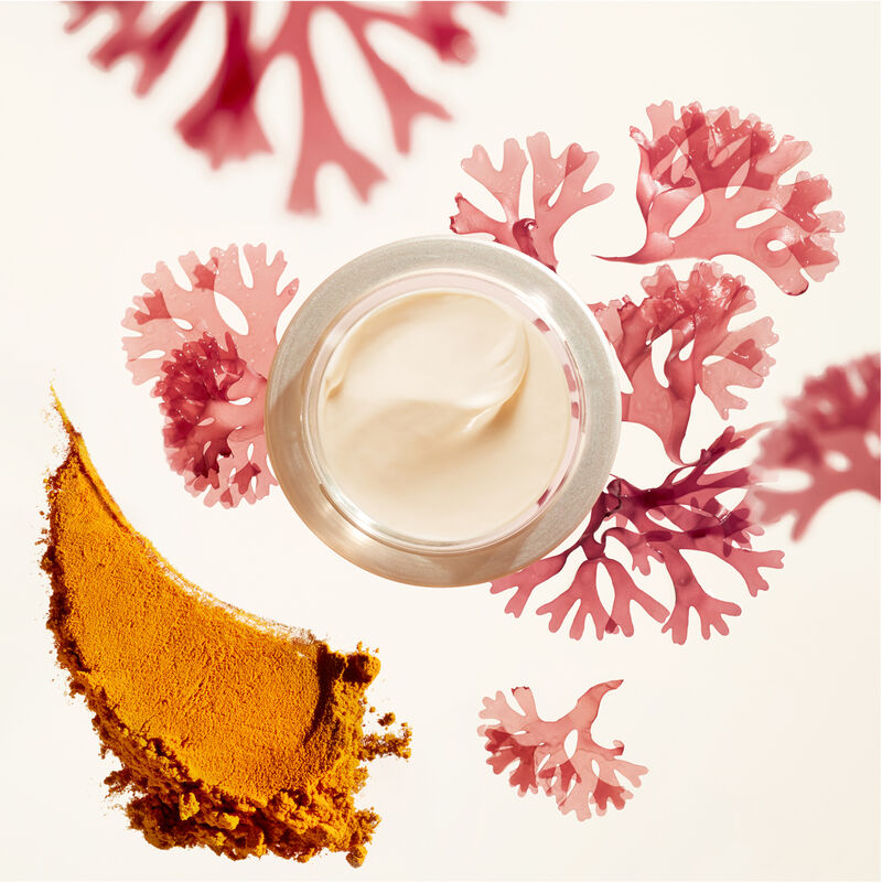Benefiance Wrinkle Smoothing Day Cream SPF 23 from KoKo Shiseido Beauté