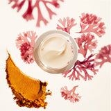 Benefiance Wrinkle Smoothing Day Cream SPF 23 from KoKo Shiseido Beauté