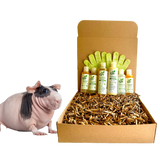 4-HAIRLESS PETS *SKINNYPIG REGULAR KIT from ReNewedPet
