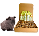4-HAIRLESS PETS *SKINNYPIG SENSITIVE KIT from ReNewedPet