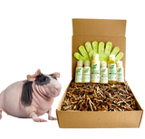 4-HAIRLESS PETS *SKINNYPIG REGULAR KIT from ReNewedPet