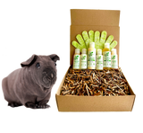 4-HAIRLESS PETS *SKINNYPIG SENSITIVE KIT from ReNewedPet