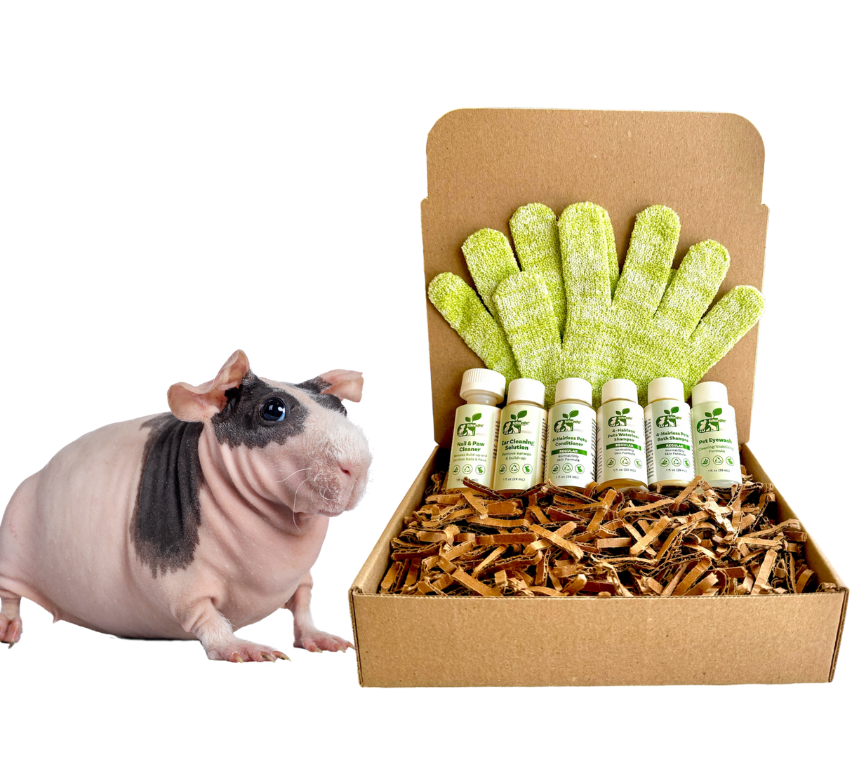 4-HAIRLESS PETS *SKINNYPIG REGULAR KIT from ReNewedPet