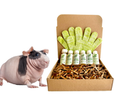 4-HAIRLESS PETS *SKINNYPIG REGULAR KIT from ReNewedPet