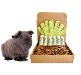 4-HAIRLESS PETS *SKINNYPIG SENSITIVE KIT from ReNewedPet