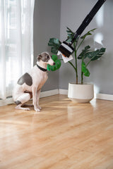 Mr. Peanut's 32" Tall Profile Pooper Scooper from Mr. Peanut's Pet Carriers