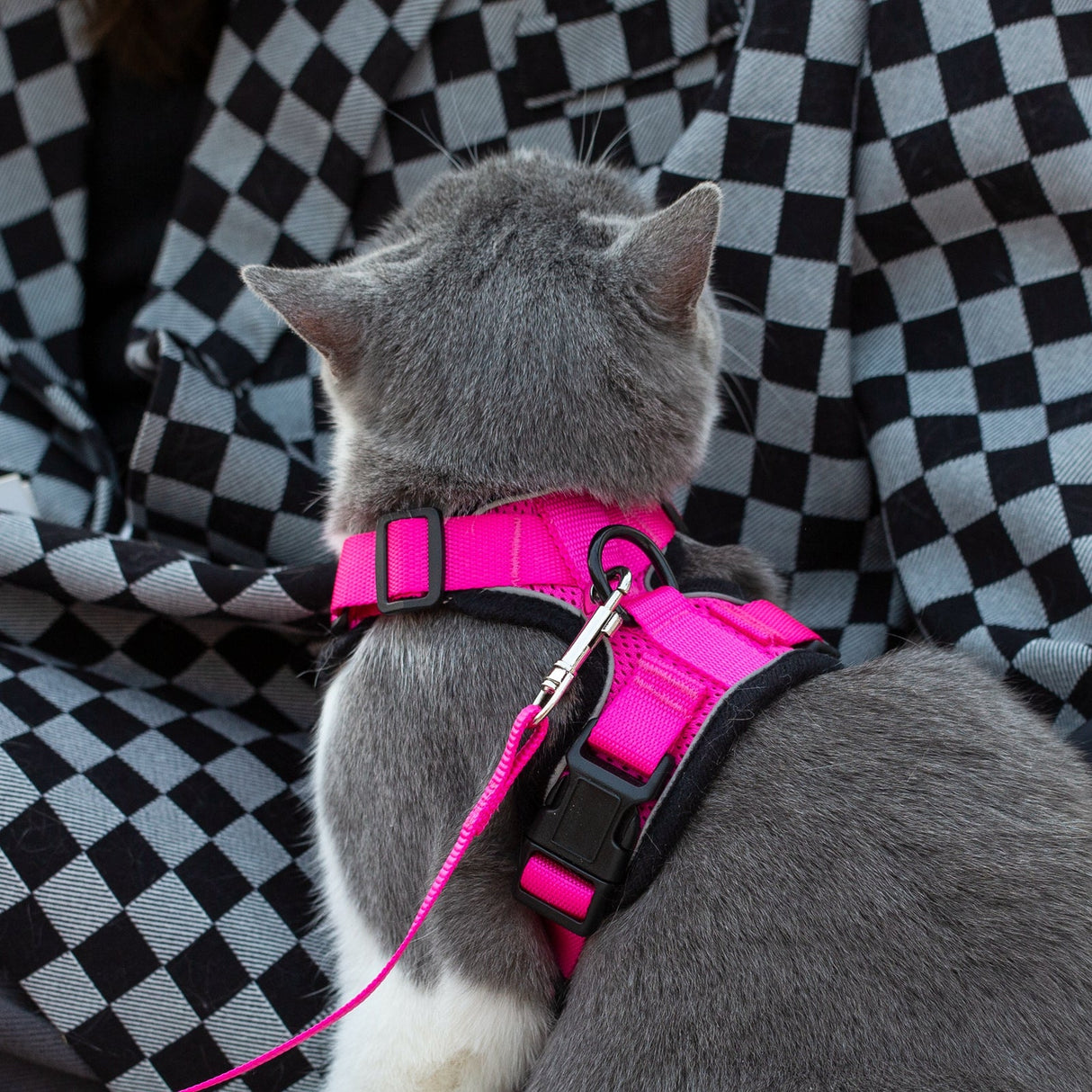 Mr. Peanut's PurrTrek Reflective Cat Harness with Matching Leash from Mr. Peanut's Pet Carriers