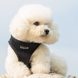 Mr. Peanut's PupTrek Harness and Leash Set,  Small Dog/Cat Soft Mesh Step In Harness Vest from Mr. Peanut's Pet Carriers