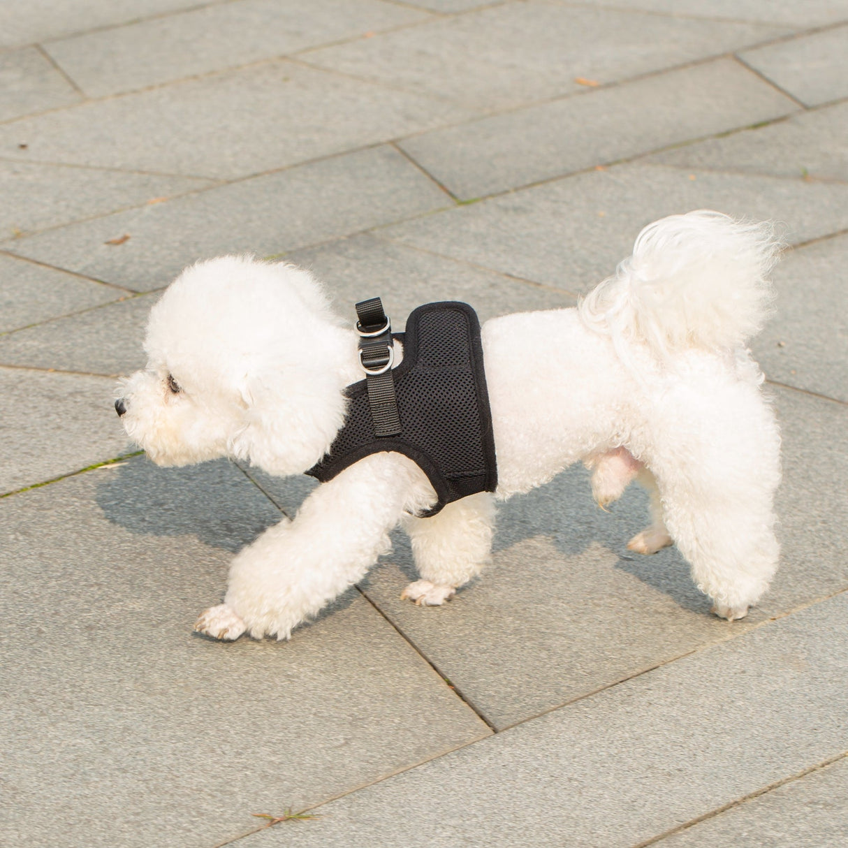 Mr. Peanut's PupTrek Harness and Leash Set,  Small Dog/Cat Soft Mesh Step In Harness Vest from Mr. Peanut's Pet Carriers