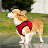 Mr. Peanut's PupTrek Harness and Leash Set,  Small Dog/Cat Soft Mesh Step In Harness Vest from Mr. Peanut's Pet Carriers