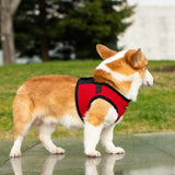 Mr. Peanut's PupTrek Harness and Leash Set,  Small Dog/Cat Soft Mesh Step In Harness Vest from Mr. Peanut's Pet Carriers