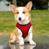 Mr. Peanut's PupTrek Harness and Leash Set,  Small Dog/Cat Soft Mesh Step In Harness Vest from Mr. Peanut's Pet Carriers