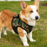 Mr. Peanut's PupTrek Harness and Leash Set,  Small Dog/Cat Soft Mesh Step In Harness Vest from Mr. Peanut's Pet Carriers