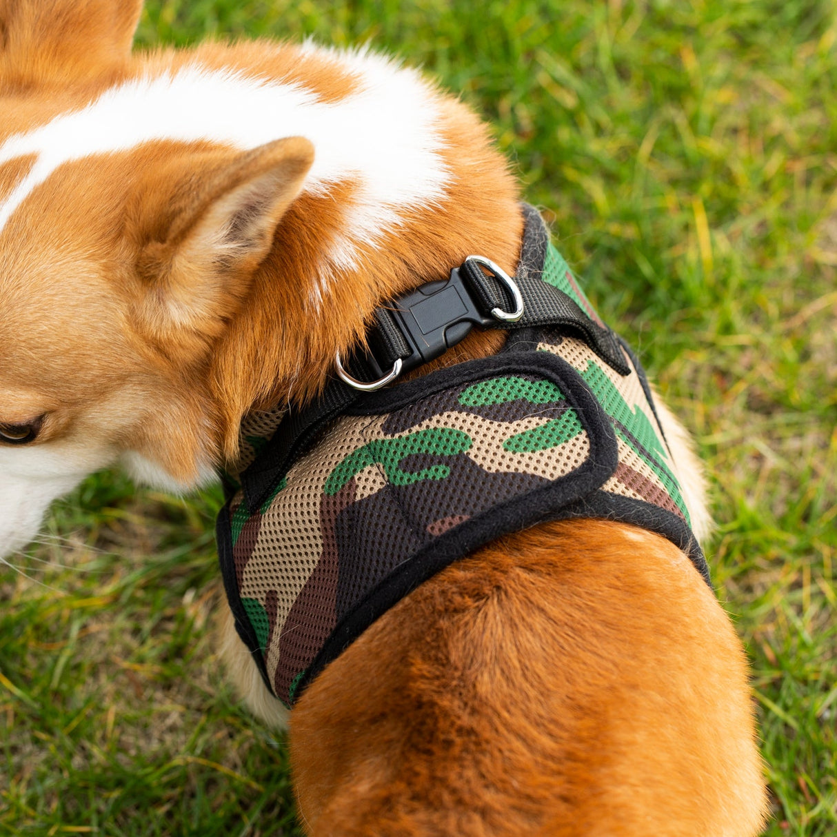 Mr. Peanut's PupTrek Harness and Leash Set,  Small Dog/Cat Soft Mesh Step In Harness Vest from Mr. Peanut's Pet Carriers