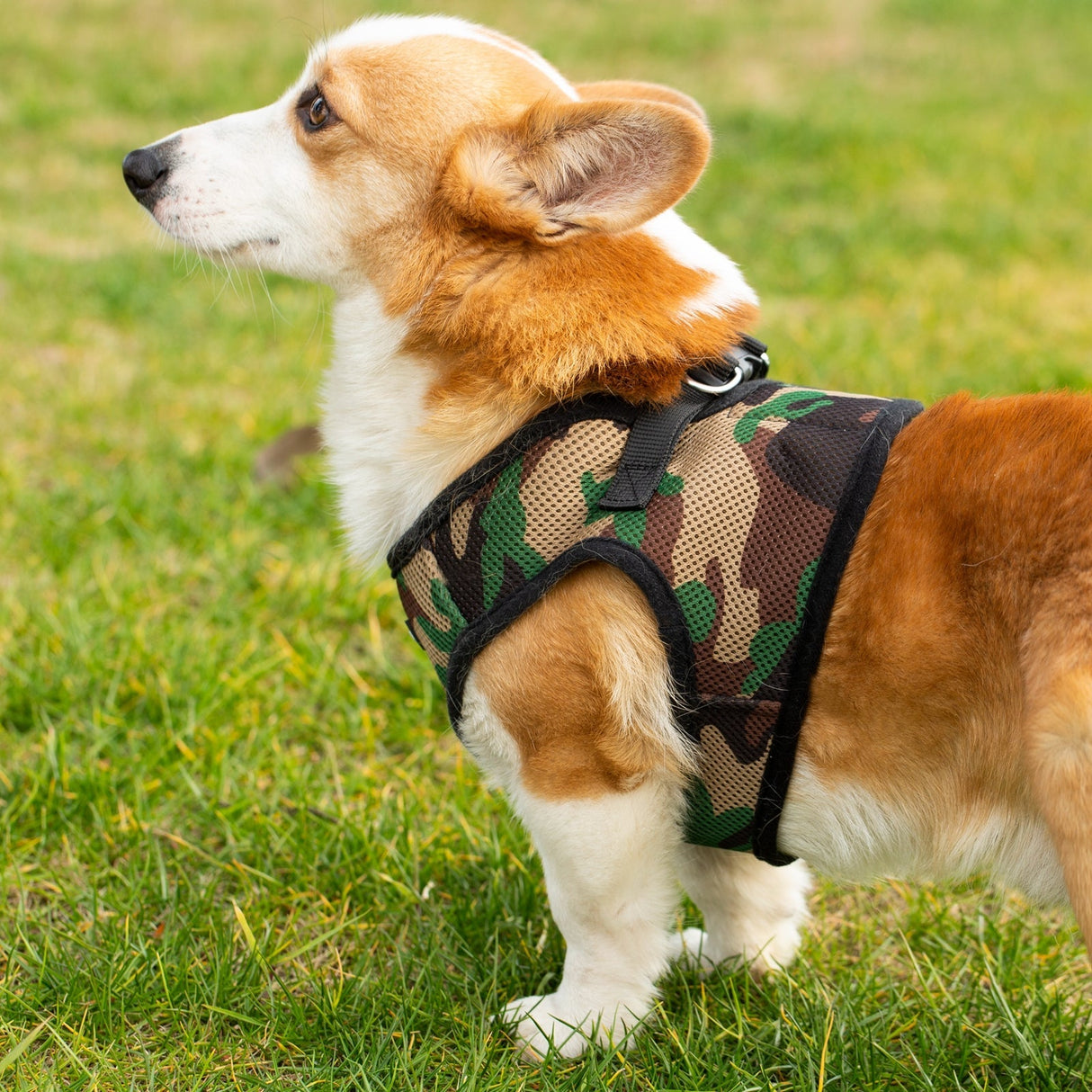 Mr. Peanut's PupTrek Harness and Leash Set,  Small Dog/Cat Soft Mesh Step In Harness Vest from Mr. Peanut's Pet Carriers