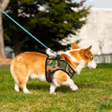 Mr. Peanut's PupTrek Harness and Leash Set,  Small Dog/Cat Soft Mesh Step In Harness Vest from Mr. Peanut's Pet Carriers