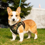 Mr. Peanut's PupTrek Harness and Leash Set,  Small Dog/Cat Soft Mesh Step In Harness Vest from Mr. Peanut's Pet Carriers