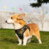 Mr. Peanut's PupTrek Harness and Leash Set,  Small Dog/Cat Soft Mesh Step In Harness Vest from Mr. Peanut's Pet Carriers