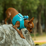 Mr. Peanut's PupTrek Harness and Leash Set,  Small Dog/Cat Soft Mesh Step In Harness Vest from Mr. Peanut's Pet Carriers