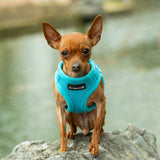 Mr. Peanut's PupTrek Harness and Leash Set,  Small Dog/Cat Soft Mesh Step In Harness Vest from Mr. Peanut's Pet Carriers