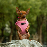 Mr. Peanut's PupTrek Harness and Leash Set,  Small Dog/Cat Soft Mesh Step In Harness Vest from Mr. Peanut's Pet Carriers