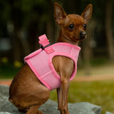 Mr. Peanut's PupTrek Harness and Leash Set,  Small Dog/Cat Soft Mesh Step In Harness Vest from Mr. Peanut's Pet Carriers